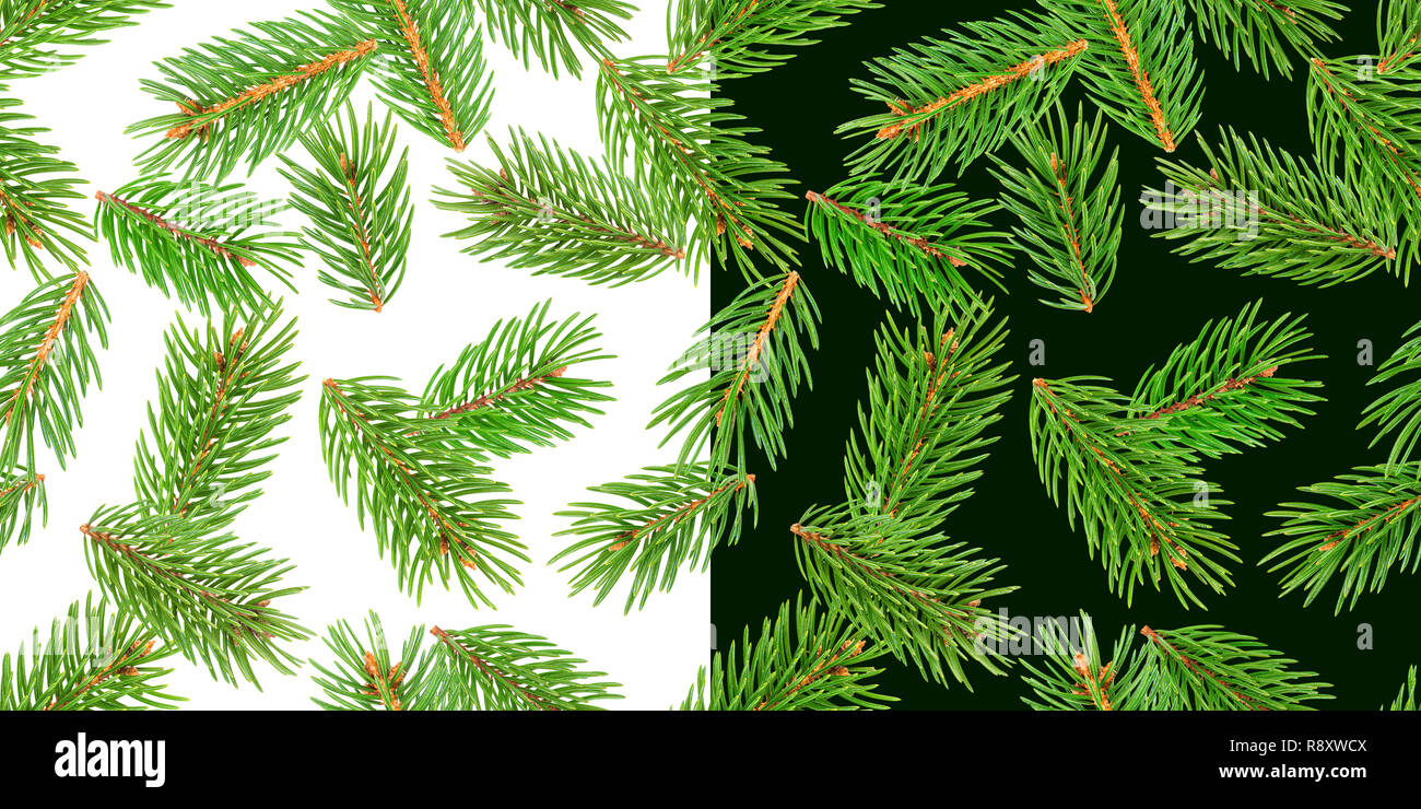 Abete rami seamless pattern, ramo di pino, Natale conifera isolato su bianco e lo sfondo di colore verde Foto Stock