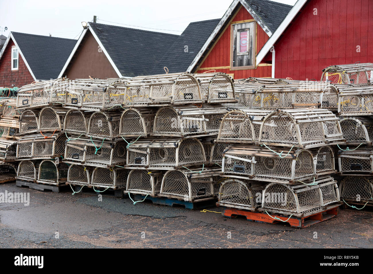 Le trappole a base di aragosta e Prince Edward Island, Canada, da James D. Coppinger/Dembinsky Foto Assoc Foto Stock
