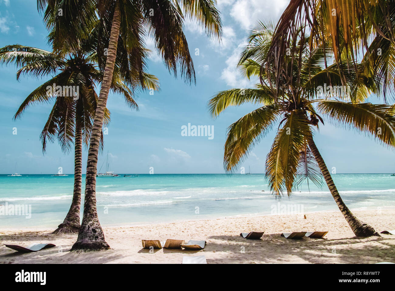 Foto di spiagge di Bavaro in Punta Cana Repubblica Dominicana Foto Stock
