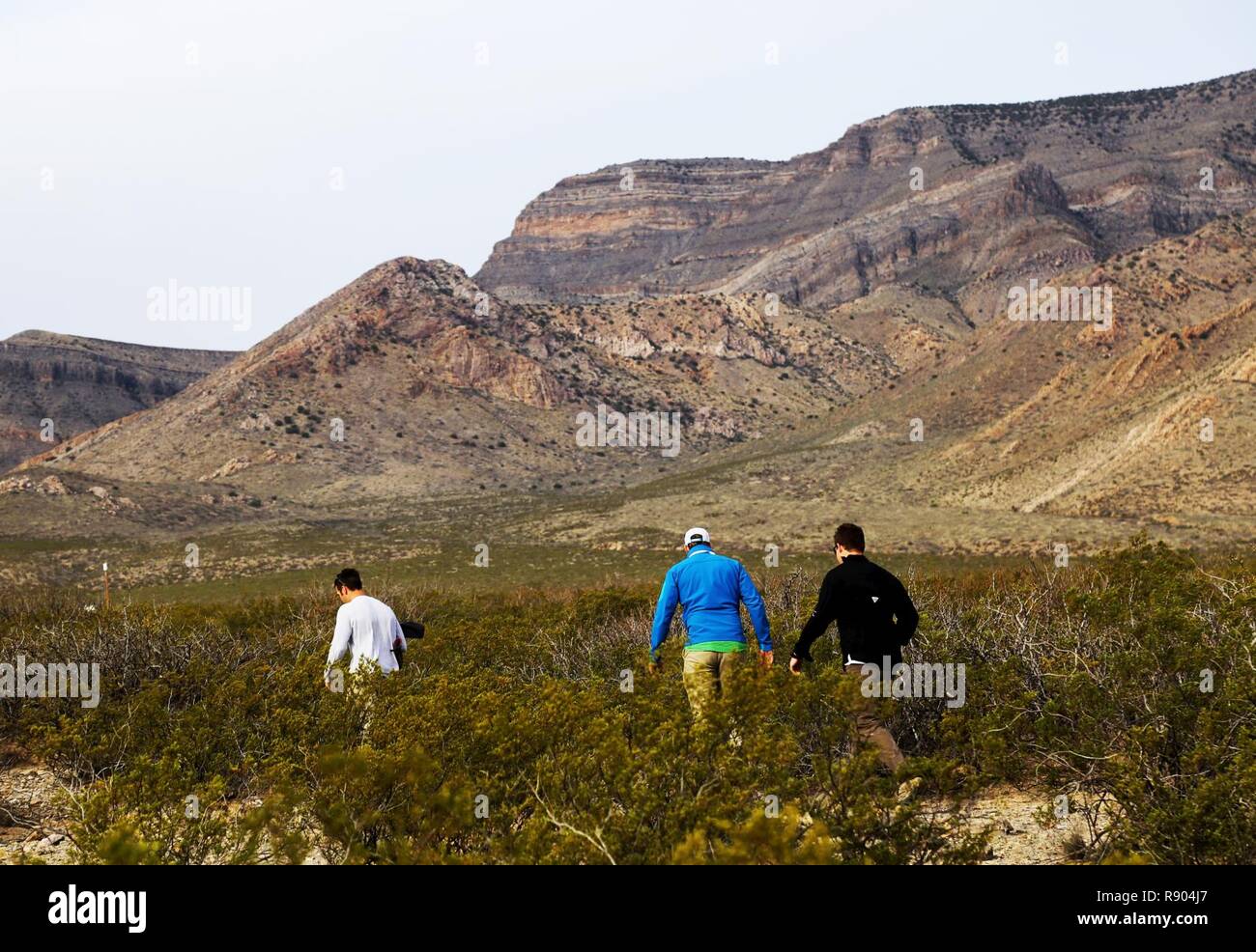 Personale di supporto cerca Unmanned Aerial systems (UAS) che erano stati disattivati durante il contatore-UAS Hard Kill Challenge tenutosi a White Sands Missile Range, Nuovo Messico, 27 febbraio-marzo 31, 2017. La messa a fuoco della difesa per la riduzione della minaccia, Agenzia Improvised-Defeat comune organizzazione (JIDO) sponsorizzato sfida era di tecnologie in grado di sconfiggere o hard kill, Unmanned Aerial systems. Mentre l'esercito degli Stati Uniti è il lead sul contatore-UAS sforzi, il C-UAS sforzo hearkens torna alla JIDO la mission -- che è quello di aiutare le unità di adattarsi e contrastare le minacce improvvisata Foto Stock
