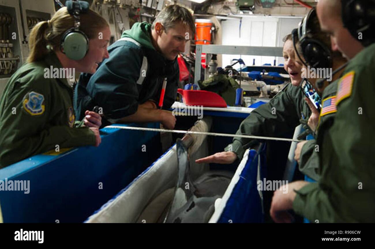 Un delfino dal U.S. La marina di mammifero marino programma vola a bordo di una C-17 Globemaster III azionato dal 446th Airlift Wing Marzo 13, 2017. I delfini eseguire la sorveglianza subacquea e rilevamento di oggetto. Foto Stock