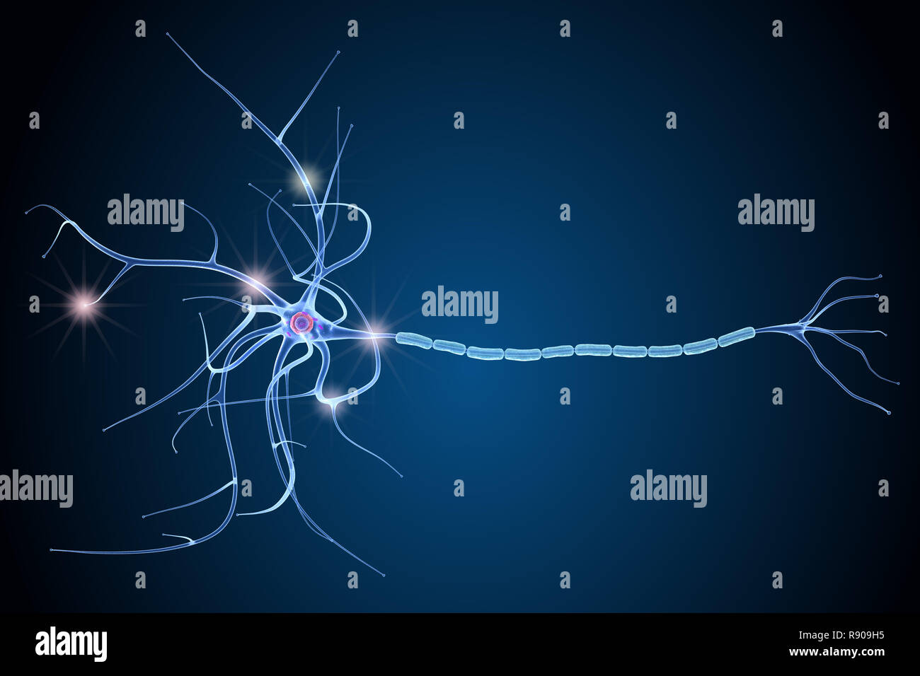 Cellula nervosa anatomia in dettagli. 3D illustrazione Foto Stock