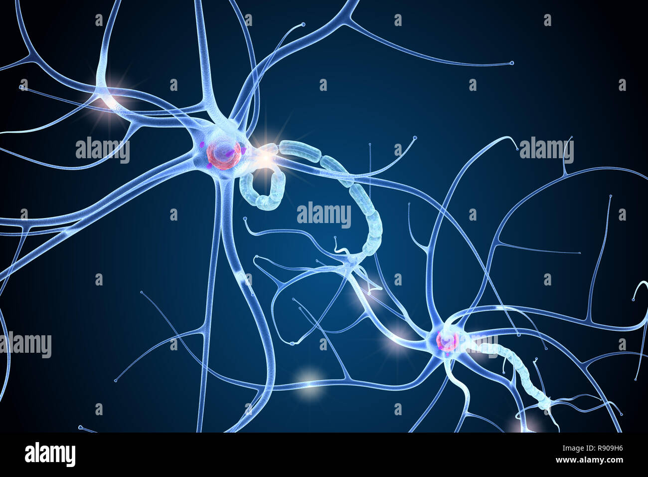 la parte allungata delle cellule nervose