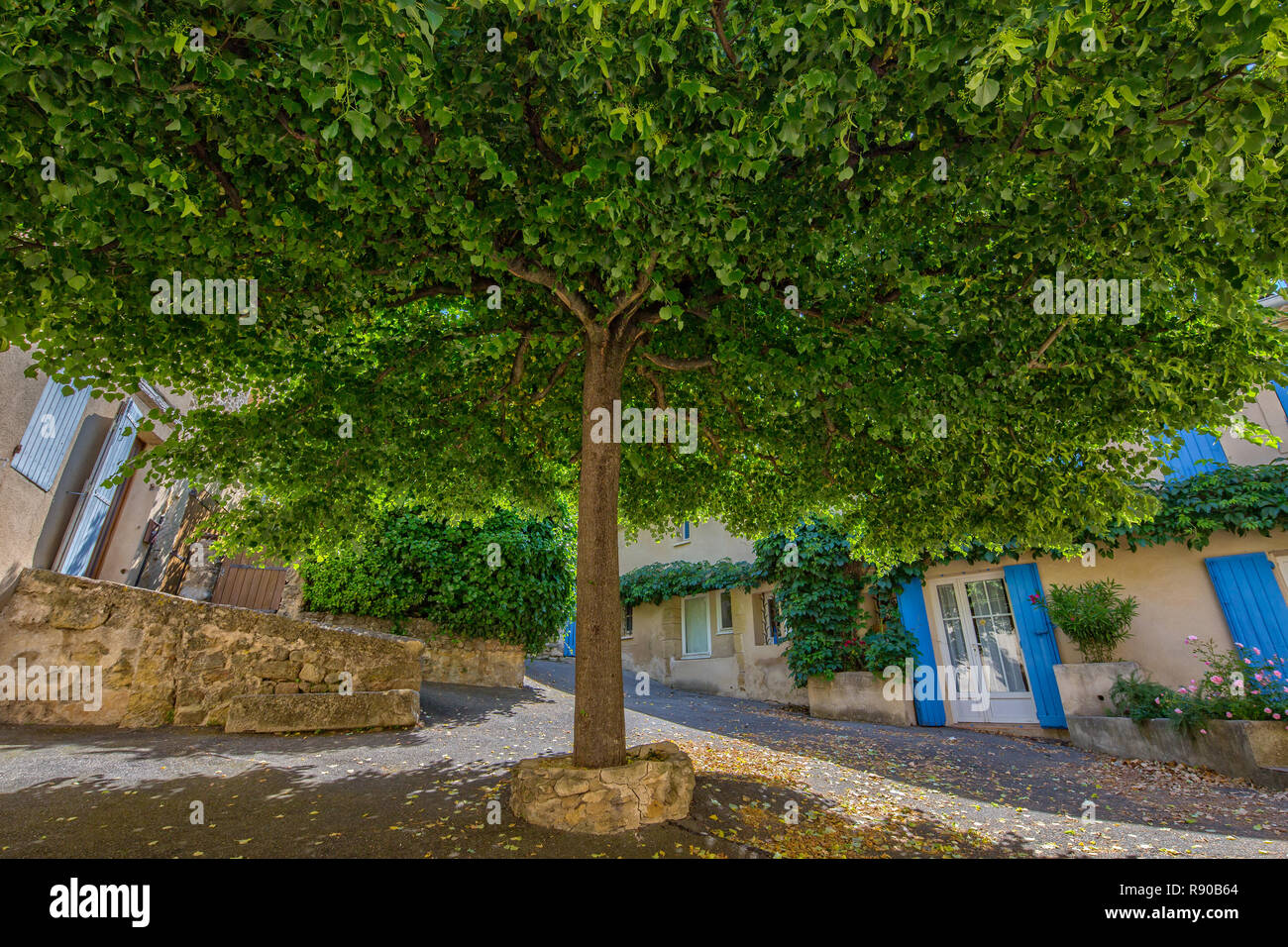 Lourmarin, Provenza, Luberon, Vaucluse, Francia - Mai 30, 2017: Bellissima tigli su una piccola piazza in Lourmarin Foto Stock