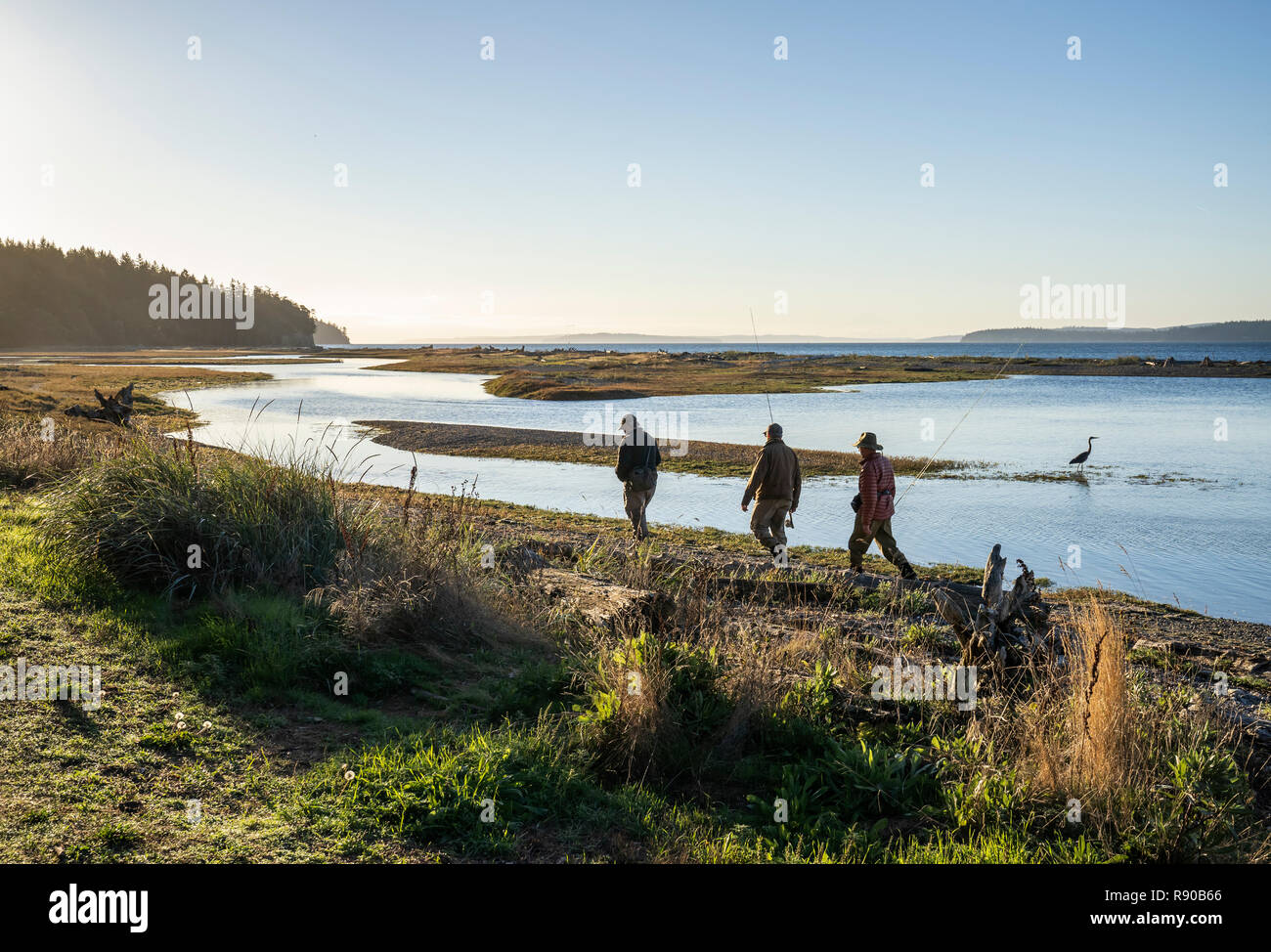 Due pescatore a mosca e una guida a piedi passato un airone blu lungo una acqua salata Spiaggia estuario mentre per la pesca costiera searun tagliagole trote e salm Foto Stock