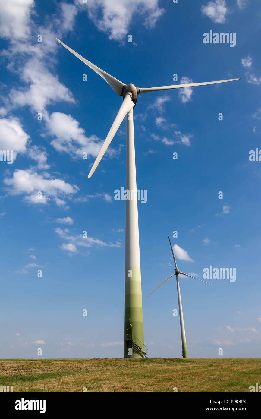 Immagine della modalità ECO power, impianto eolico - turbina eolica - Energia pulita Foto Stock