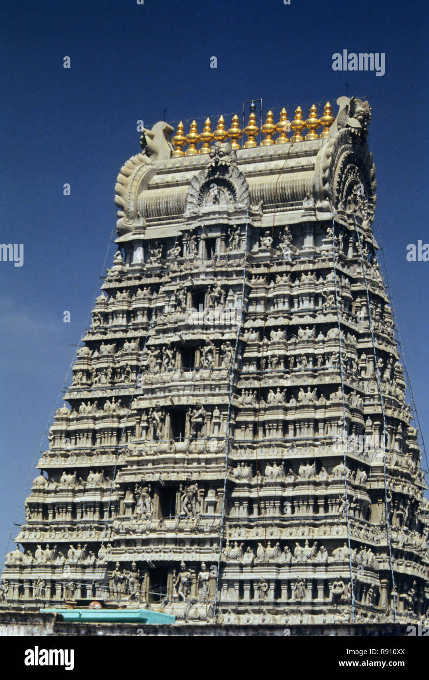 La SBD-29422 : Govinda raja swamy temple ; tirupati ; Andhra Pradesh ; india Foto Stock