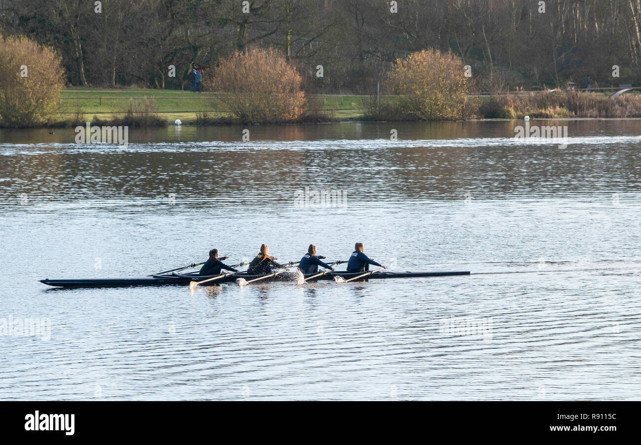 Quattro rematori di femmina in un scull barca a remi sul lago a Trentham Gardens Inghilterra Staffordshire REGNO UNITO Foto Stock