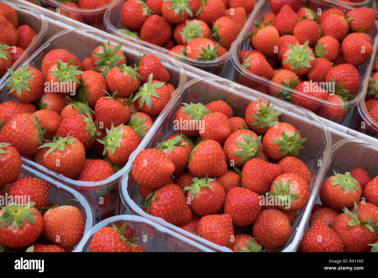 Rosso fresco fragole mature in scatole di plastica al mercato per la vendita Foto Stock