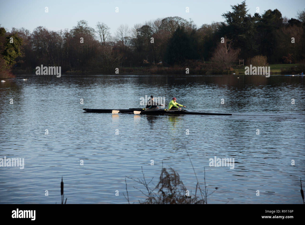 Due uomini di canottaggio scull una barca sul Trentham Gardens Lago in Inghilterra Staffordshire REGNO UNITO Foto Stock