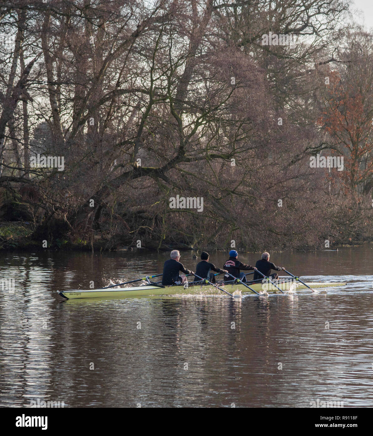 Quattro maschi fuori il canottaggio sul lago a Trentham Gardens Inghilterra Staffordshire REGNO UNITO Foto Stock