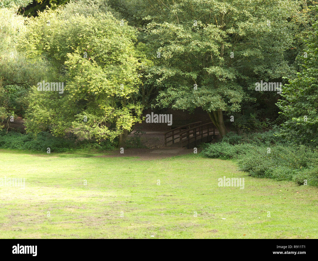 Hubbards colline a inizio autunno Foto Stock