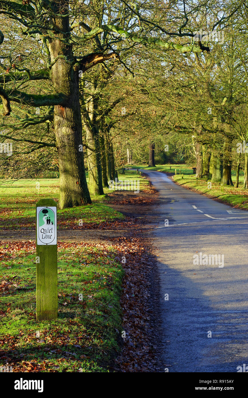La strada attraverso Ayot Green Foto Stock