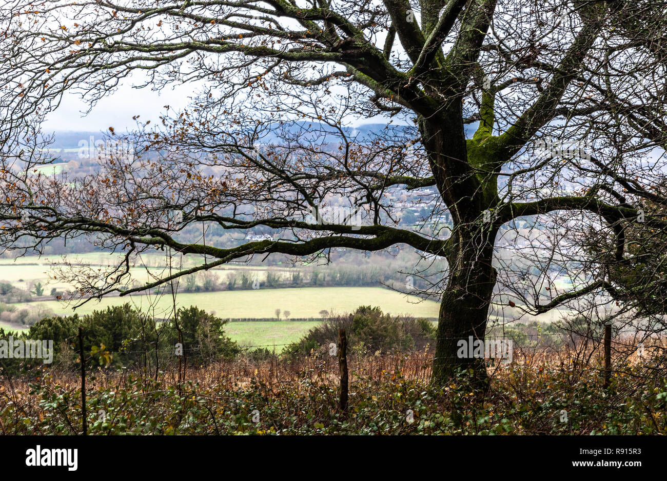 Vista di Dorking Visto dalle colline Denbies, Ranmore comune, North Downs, Surrey, Inghilterra, Regno Unito. Foto Stock