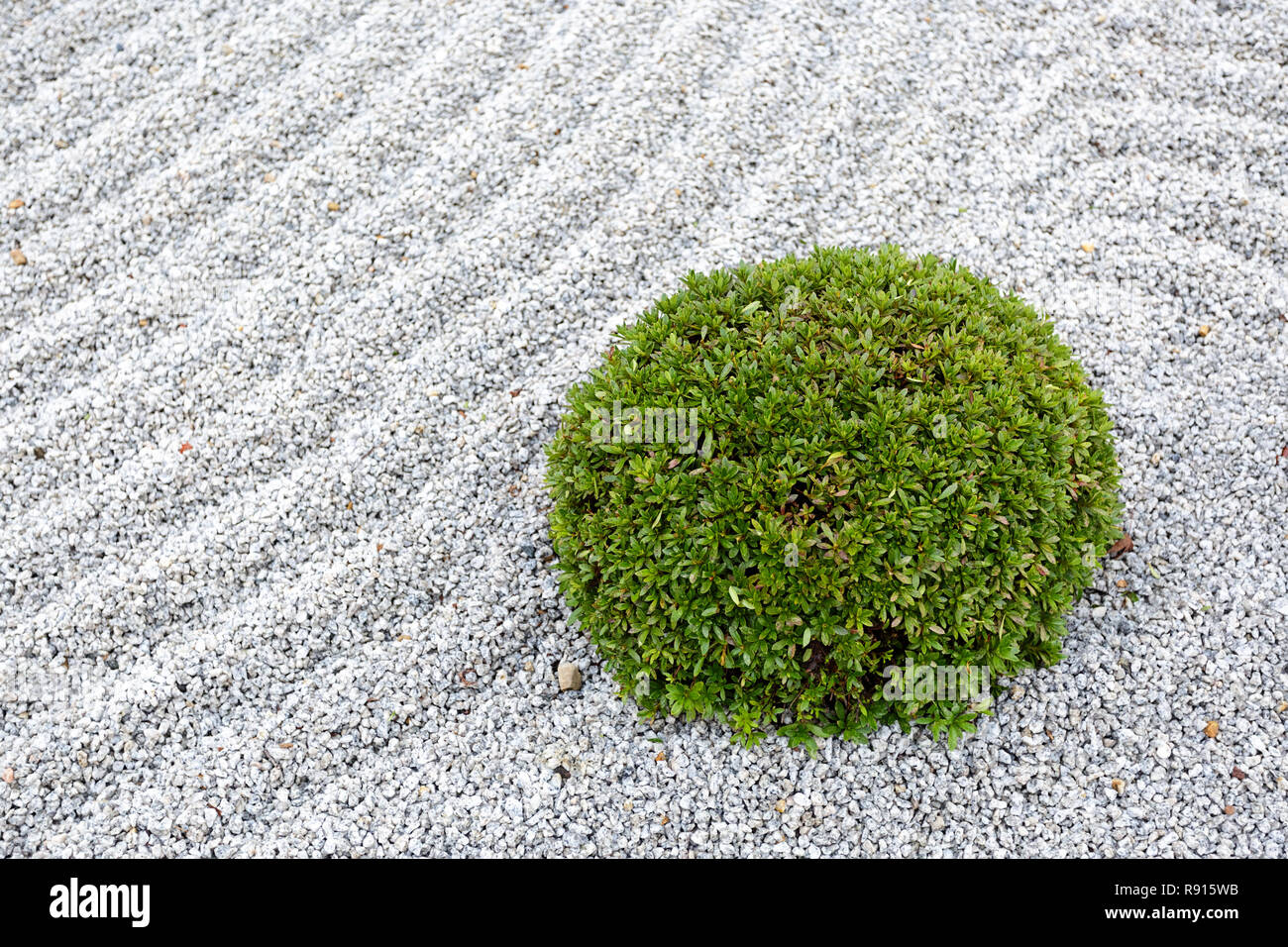 Giapponese giardino zen, Giappone Foto Stock