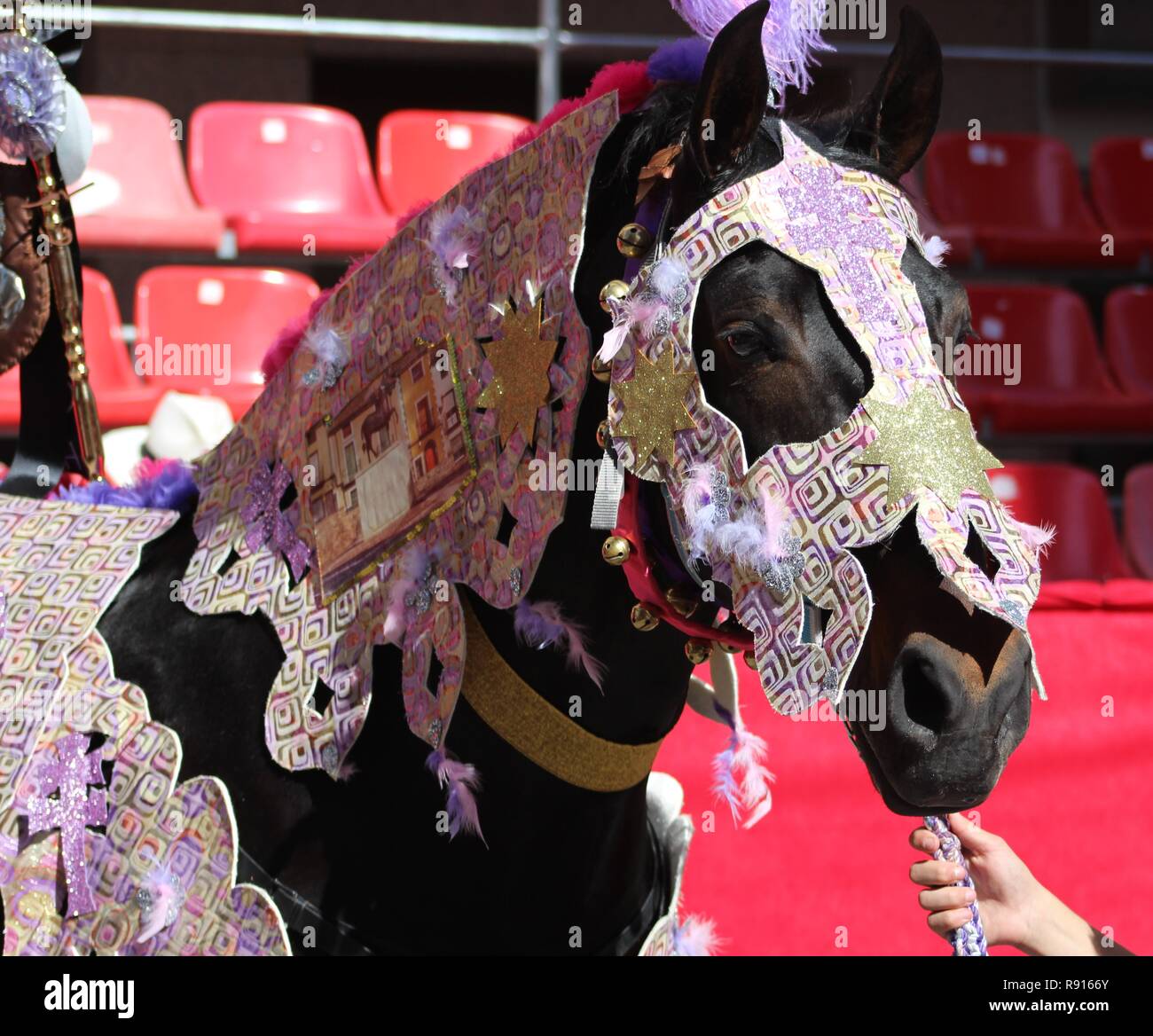 Ricamo usato per fare un cavallo costume per la sfilata a Los Caballos del Vino di Caravaca de la Cruz Foto Stock