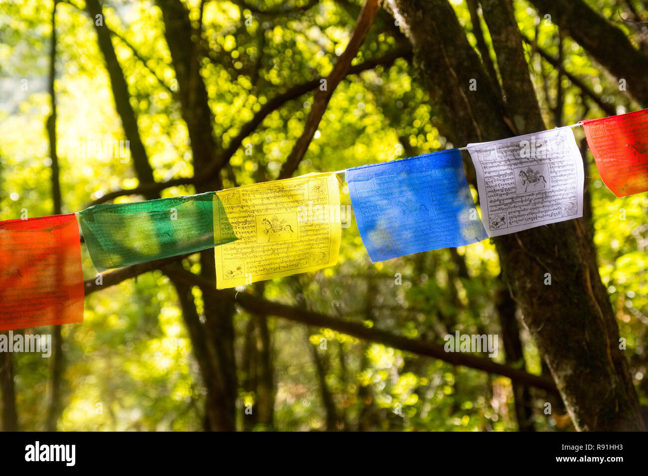 Preghiera tibetano bandiere infilate tra alberi, Nepal Foto Stock