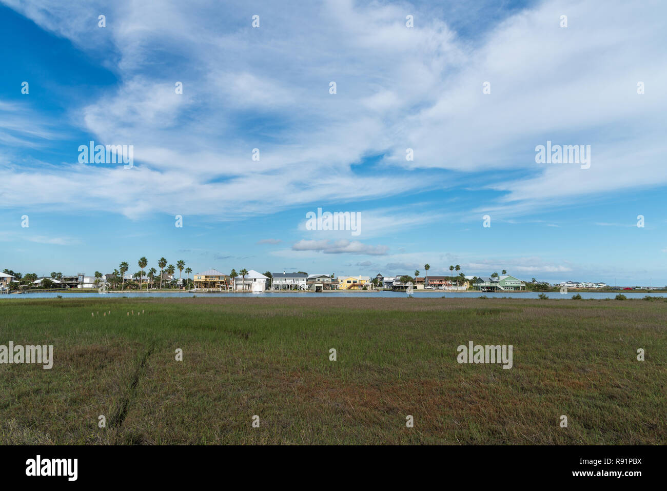 Case residenziali invadendo venerato nelle zone umide della tomaia sulla costa del Golfo. Rifugio Naturale Nazionale Aransas, Texas, Stati Uniti d'America. Foto Stock