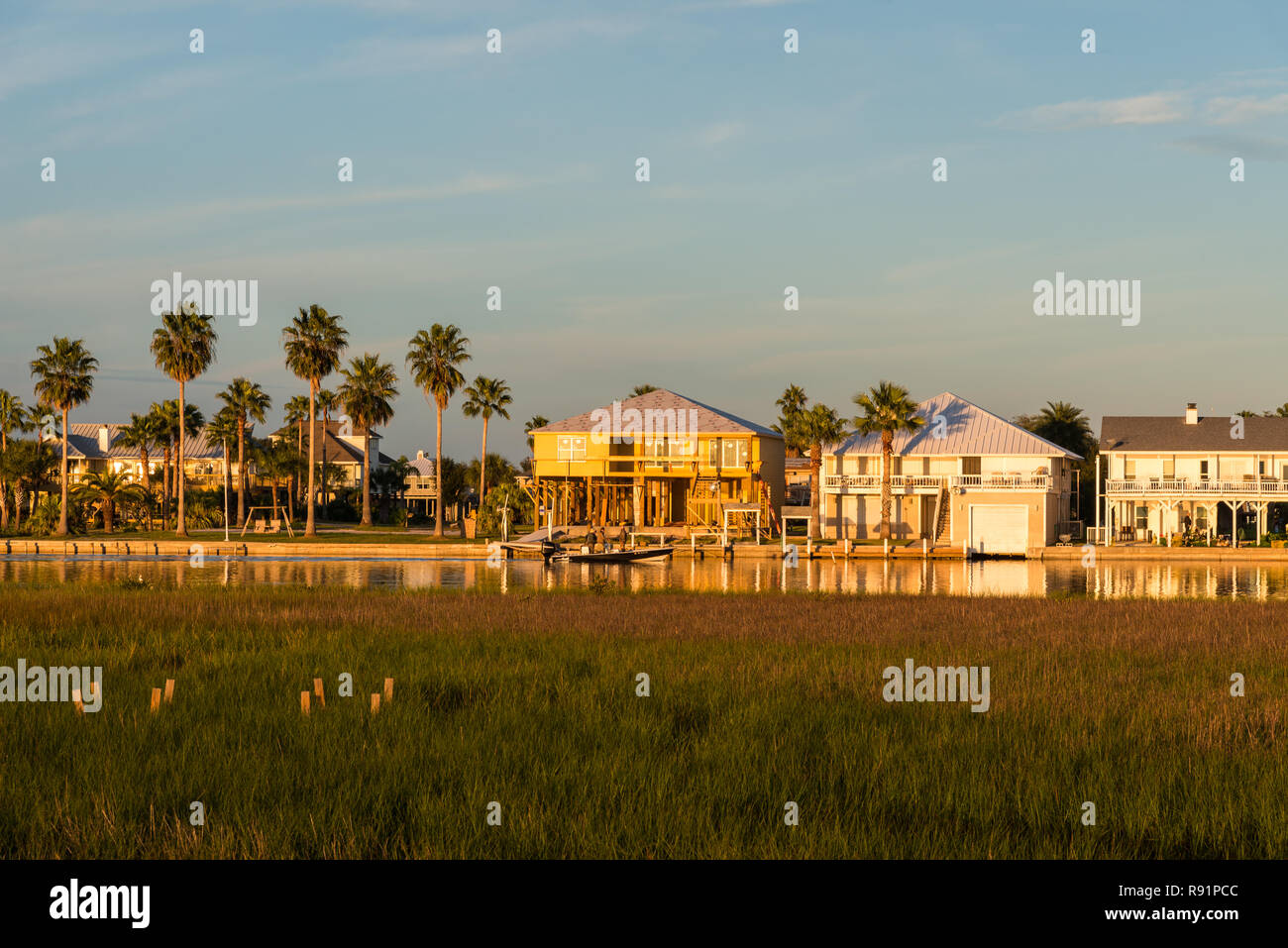 Case residenziali invadendo venerato nelle zone umide della tomaia sulla costa del Golfo. Rifugio Naturale Nazionale Aransas, Texas, Stati Uniti d'America. Foto Stock