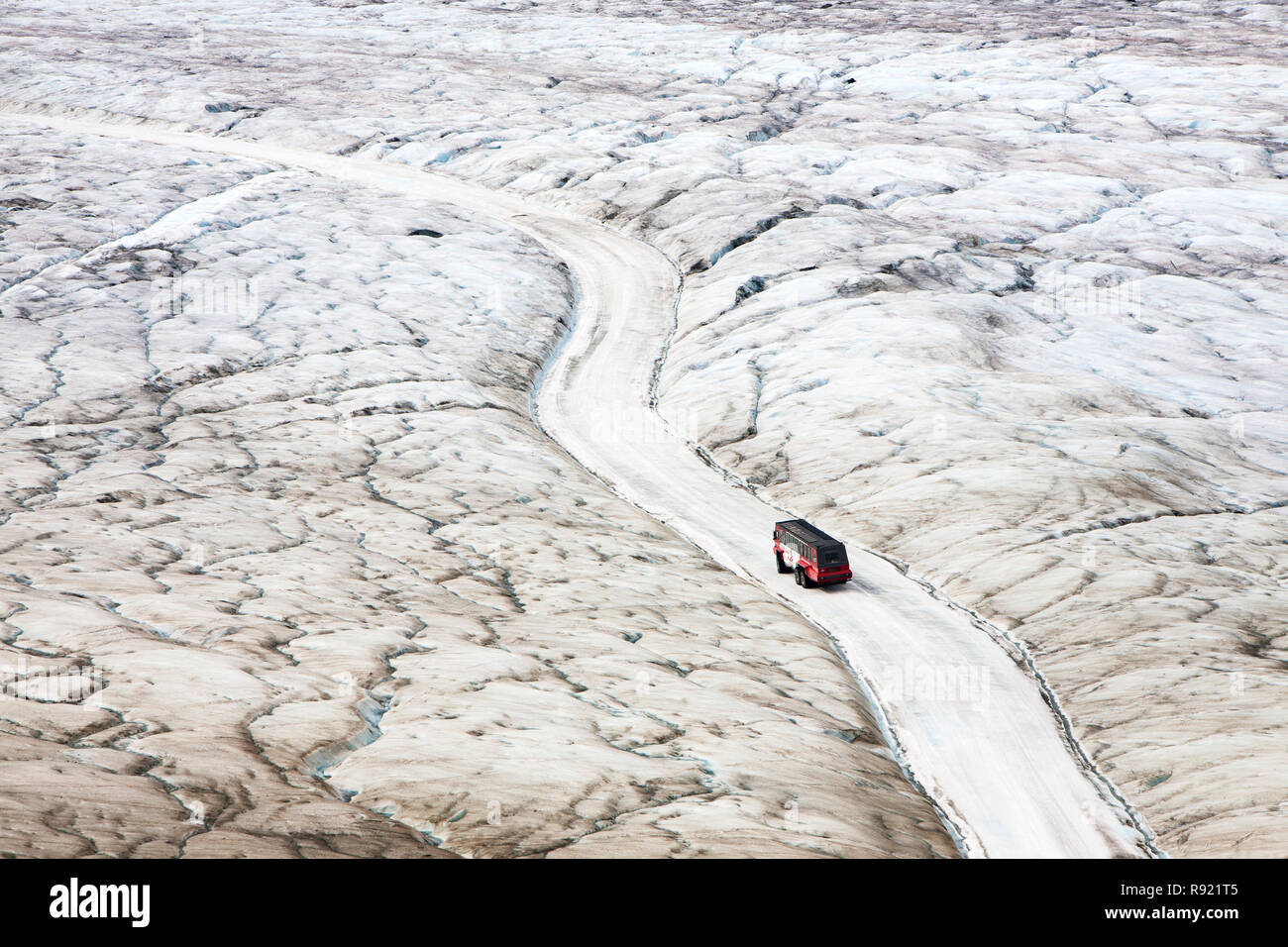 Turismo buggy di ghiaccio del Ghiacciaio Athabasca che sta svanendo in modo estremamente rapido e ha perso oltre il 60% della sua massa di ghiaccio in meno di 150 anni. Canadian Rockies. Foto Stock