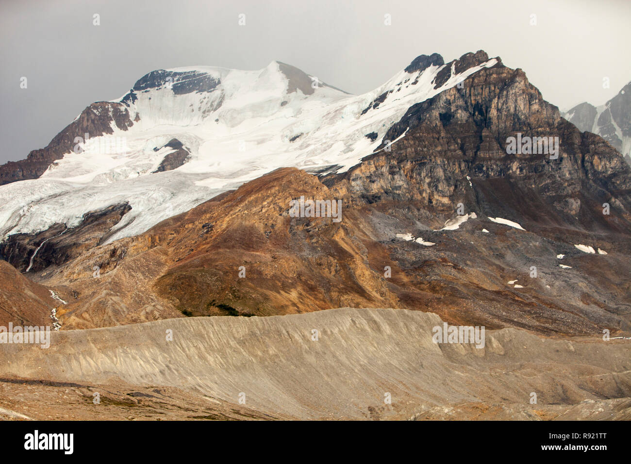 Morena laterale che mostra il tasso di ritiro del Ghiacciaio Athabasca. Essa sta svanendo in modo estremamente rapido e ha perso oltre il 60% della sua massa di ghiaccio in meno di 150 anni. Foto Stock