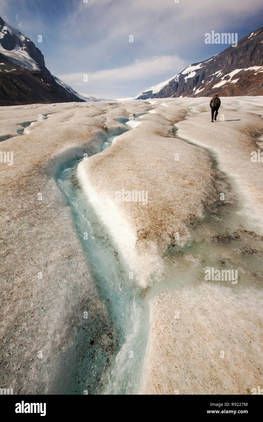 Canali di acqua di disgelo e turisti sul Ghiacciaio Athabasca che sta svanendo in modo estremamente rapido e ha perso oltre il 60% della sua massa di ghiaccio in meno di 150 anni. Canadian Rockies. Foto Stock