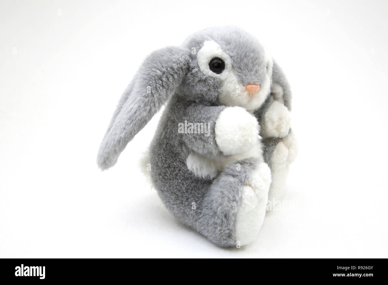 Grigio e Bianco soffice coniglio peluche Toy Foto stock - Alamy