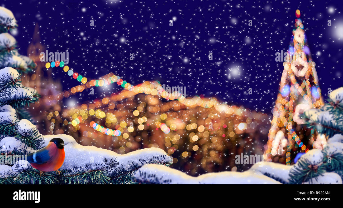 Banner di natale. Background design Natale. Notte Fiera di natale con strada luce festosa, Piazza del Mercato. Bullfinch su un abete innevato filiale. Concetto di vacanza. Foto Stock