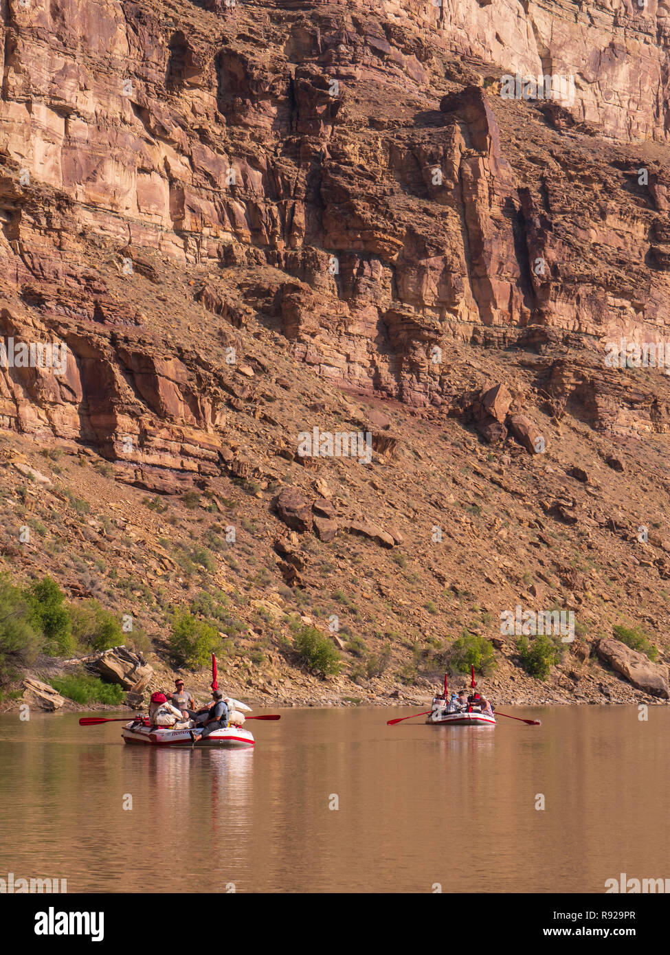 Galleggiando giù il fiume, superiore desolazione canyon a nord del fiume Verde, Utah. Foto Stock