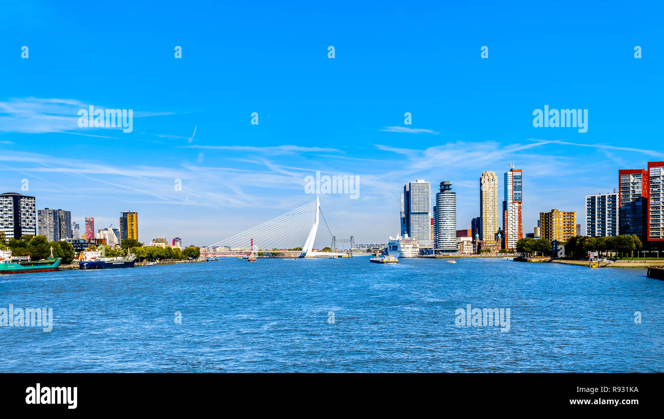 Il ponte di Erasmus e architettonici moderni edifici alti lungo la Nieuwe Maas River a Rotterdam nei Paesi Bassi Foto Stock