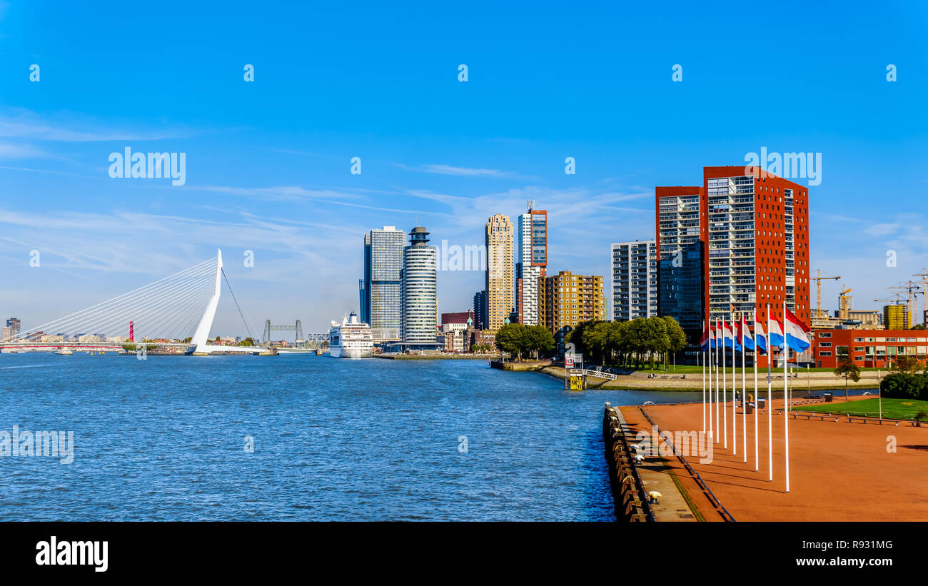Il ponte di Erasmus e architettonici moderni edifici alti lungo la Nieuwe Maas River a Rotterdam nei Paesi Bassi Foto Stock