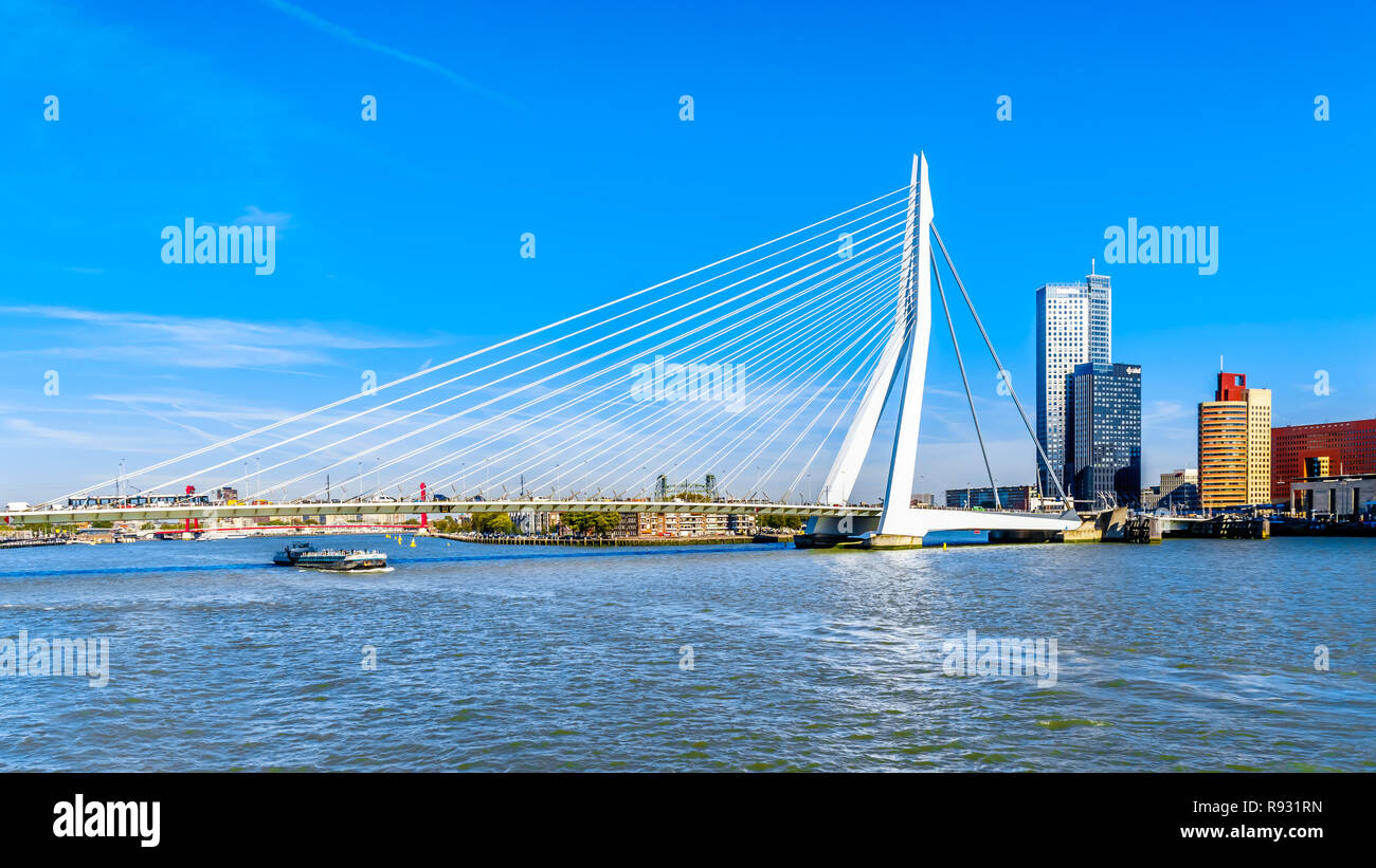 Il ponte di Erasmus e architettonici moderni edifici alti lungo la Nieuwe Maas River a Rotterdam nei Paesi Bassi Foto Stock