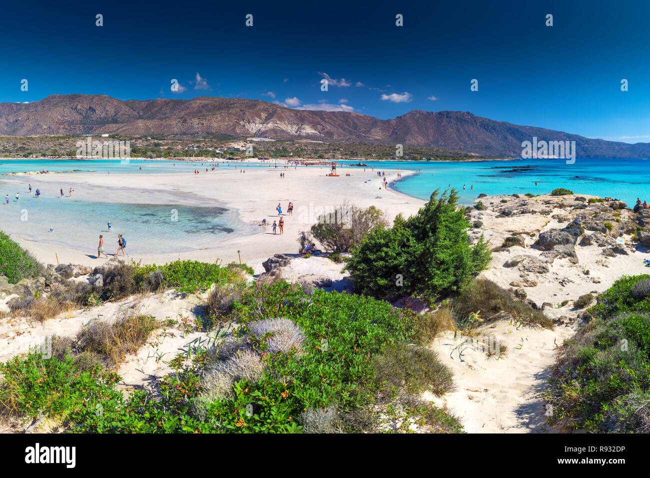 Spiaggia di Elafonissi a Creta isola di azzurro acqua chiara, la Grecia, l'Europa. Creta è la più grande e la più popolata delle isole greche. Foto Stock