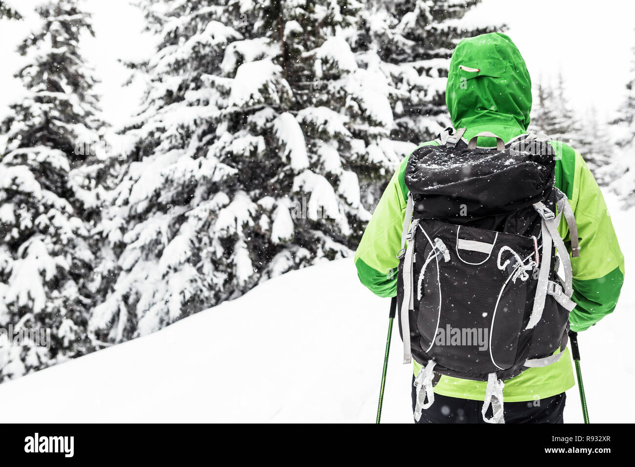 Inverno trek in bianco boschi innevati. L'uomo escursionismo in inverno boschi. Viaggi e uno stile di vita sano all'aperto nella bella natura. Foto Stock