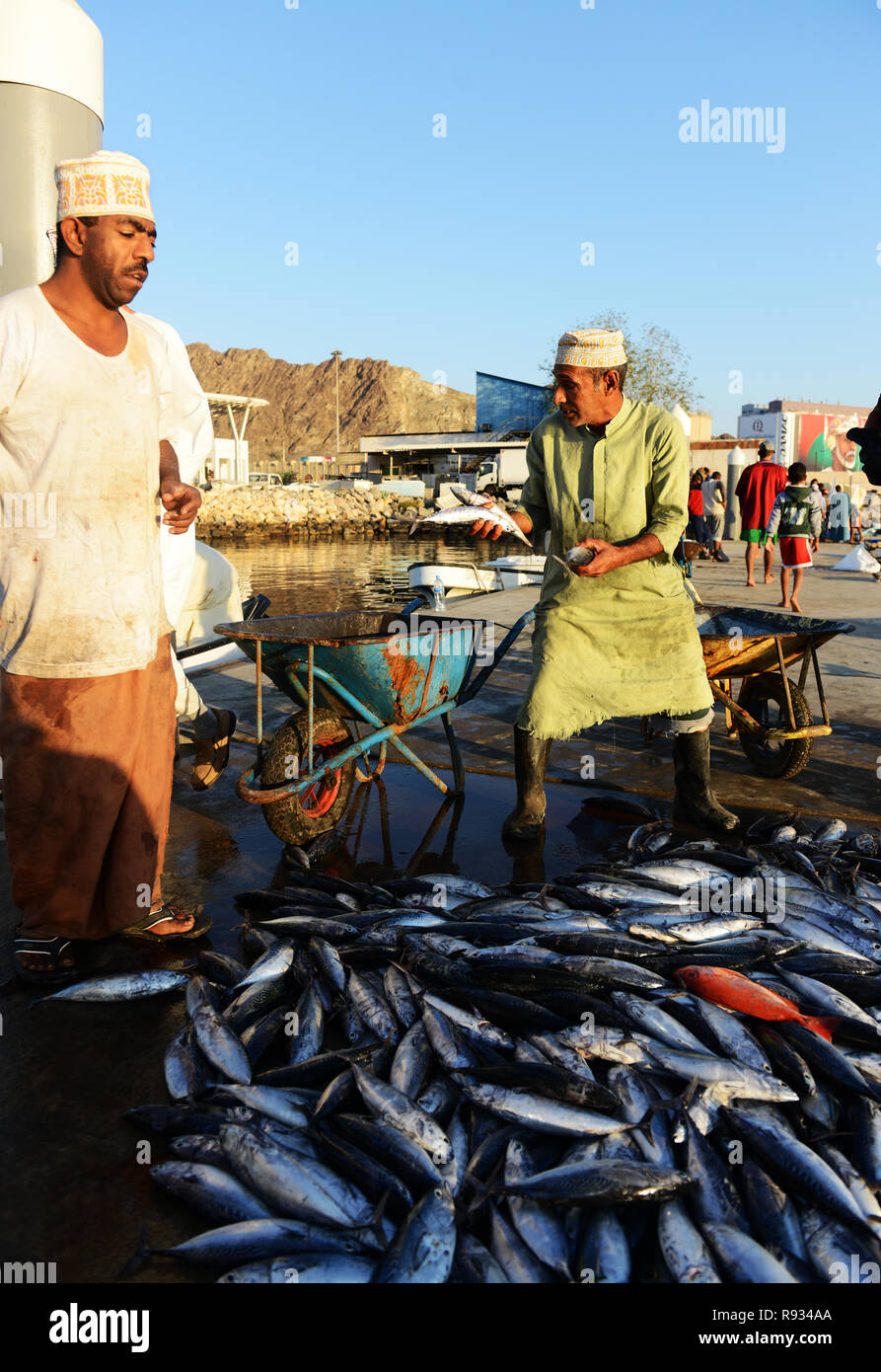 Il pesce fresco che arrivano per la Mutrah mercato del pesce in Oman. Foto Stock