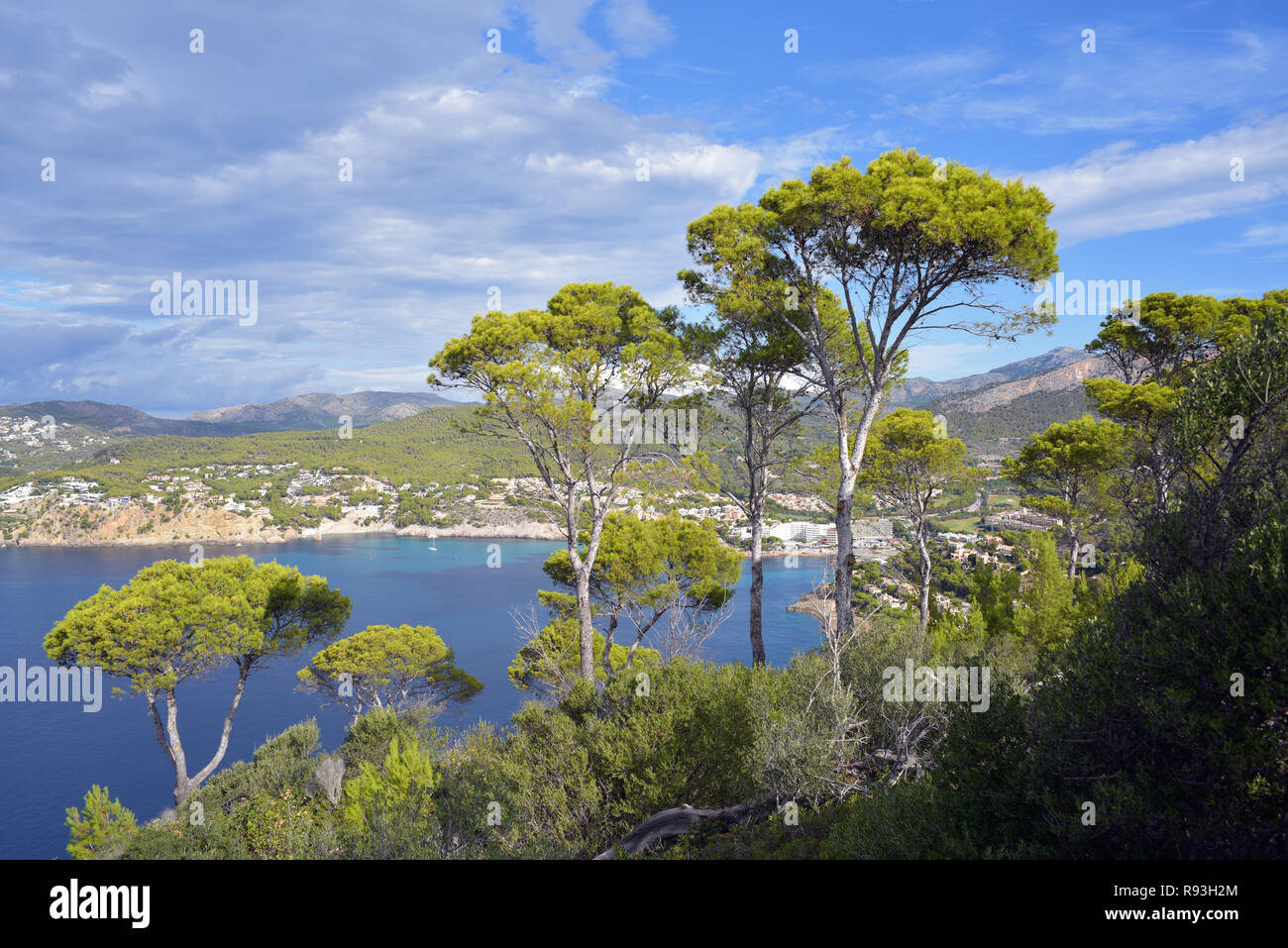 Camp de Mar, Mallorca Spagna Spain Foto Stock