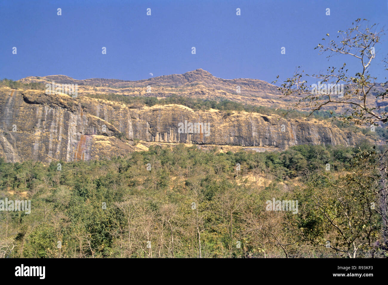 Nagfani Donger, Bhimashankar, Maharashtra, India, Asia Foto Stock