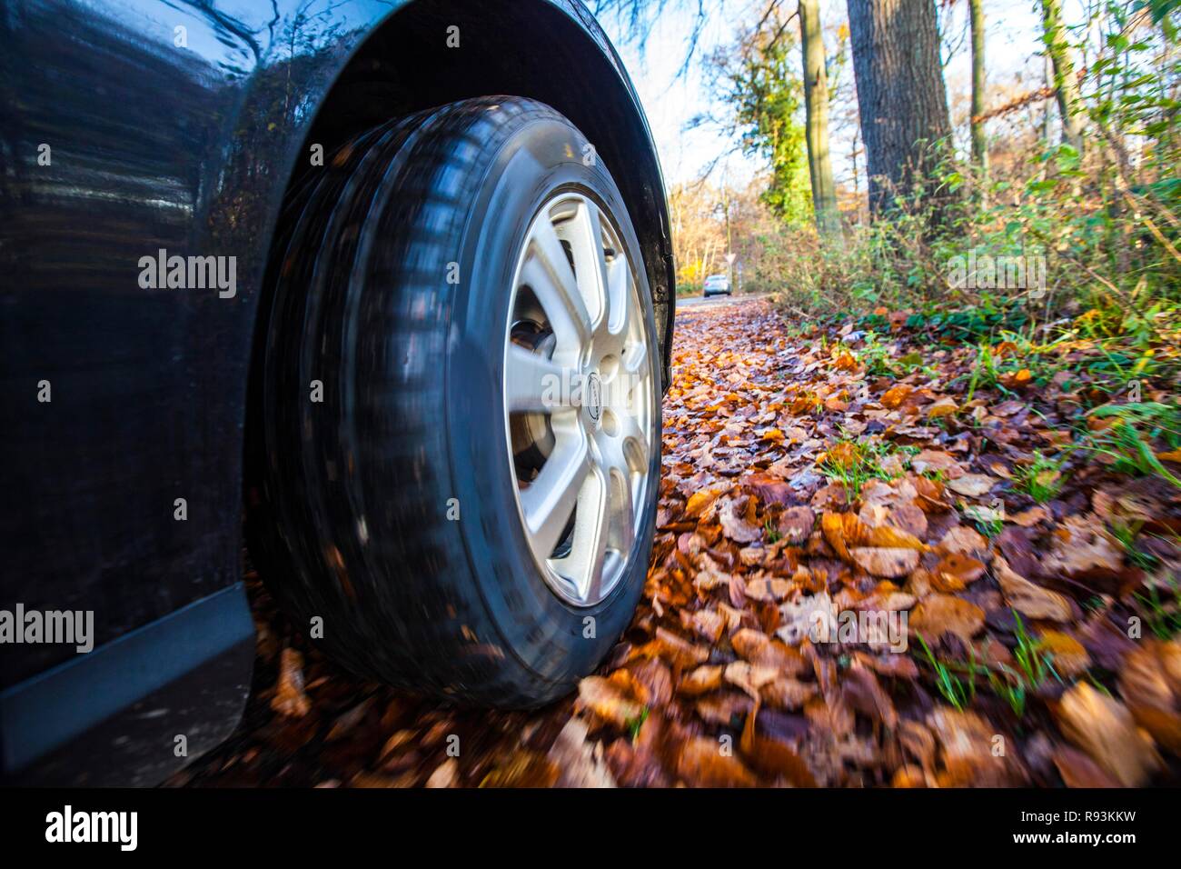 Auto guidando su una strada coperta con le foglie in autunno, pericolose condizioni di guida, pericolo di incidente Foto Stock