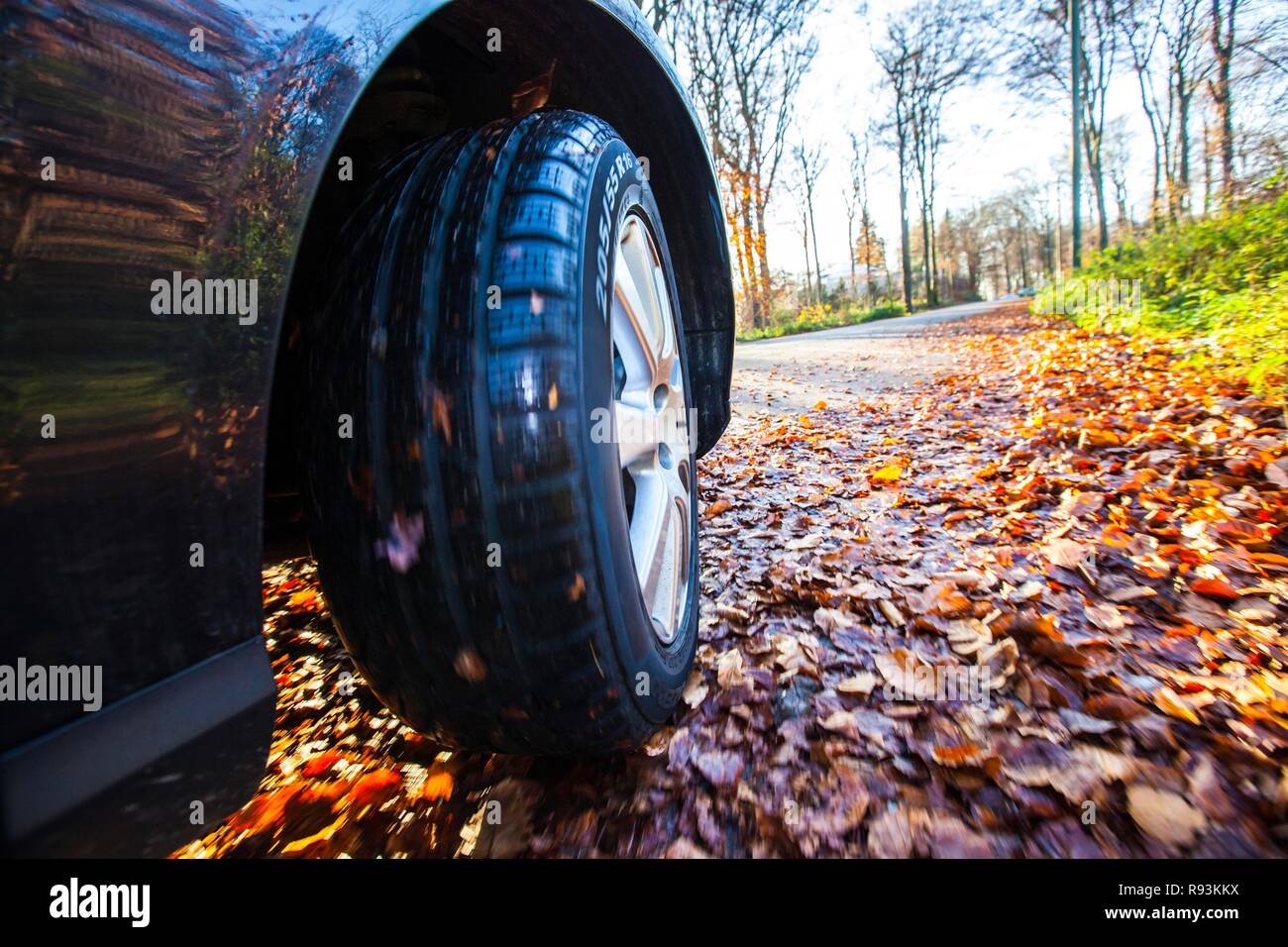 Auto guidando su una strada coperta con le foglie in autunno, pericolose condizioni di guida, pericolo di incidente Foto Stock