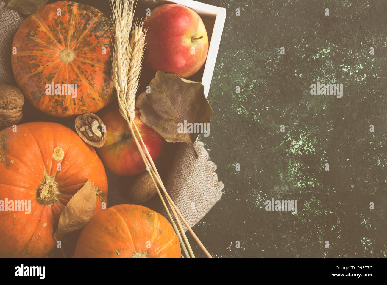 Autumn harvest - zucche, mele, noci, frumento in un bianco vassoio in legno su uno sfondo scuro. Vista superiore, copia dello spazio. Sfondo di cibo. Tonica Foto Stock