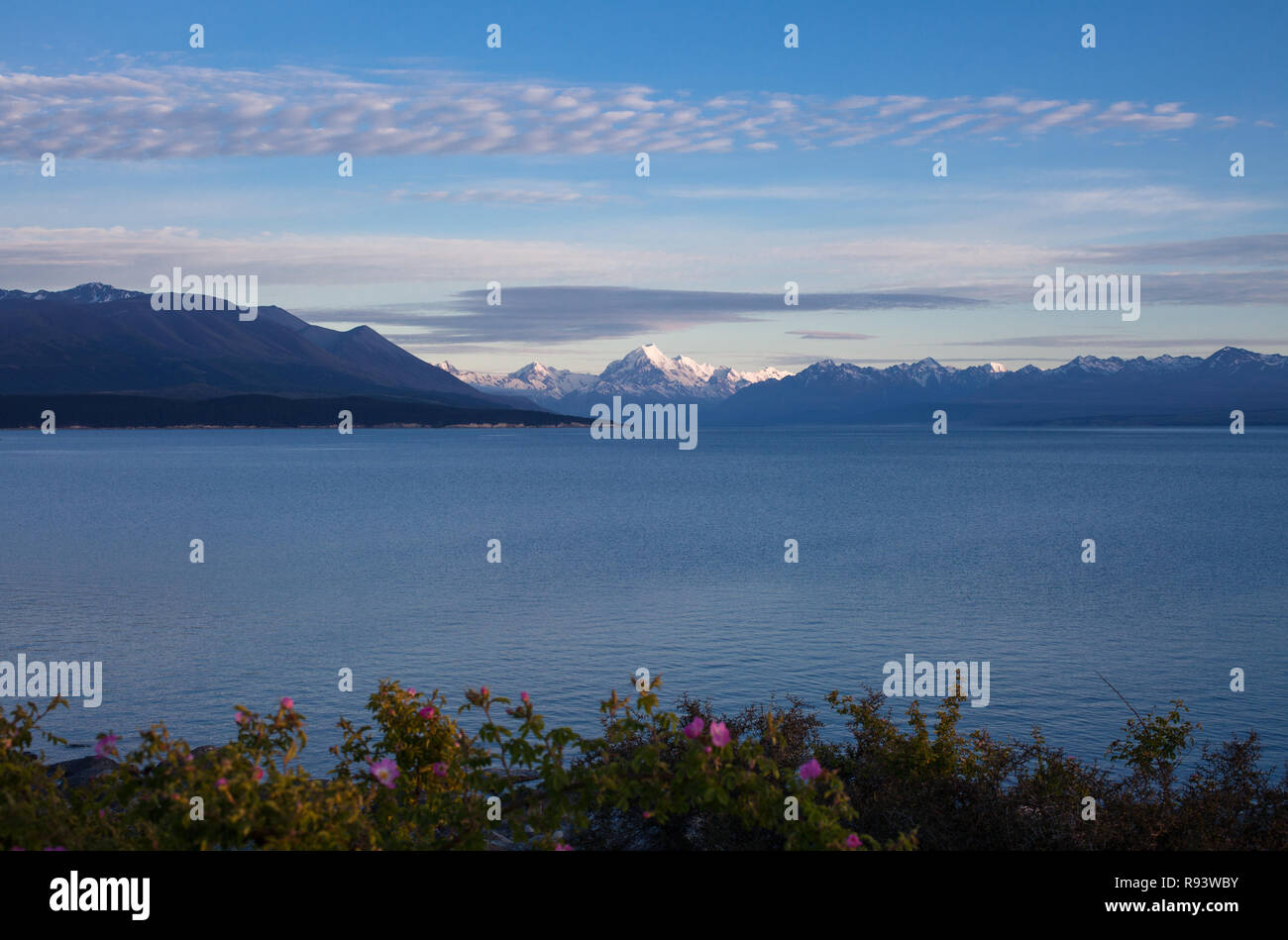 La Scenic MacKenzie, quartiere di South Island, in Nuova Zelanda Foto Stock