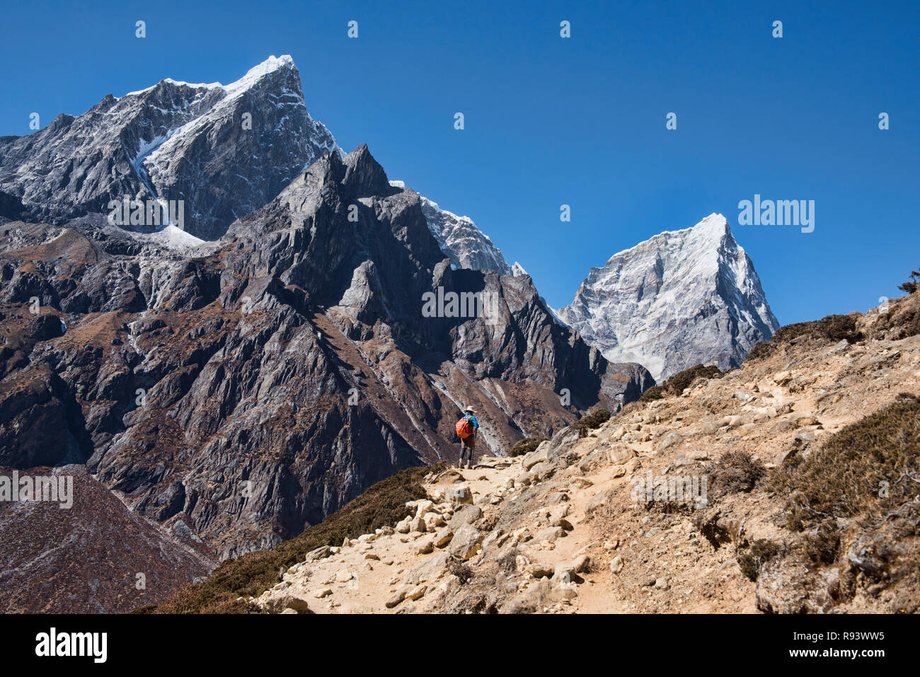 Trekking al Campo Base Everest sotto Cholatse e Taboche picchi, Khumbu, in Nepal Foto Stock