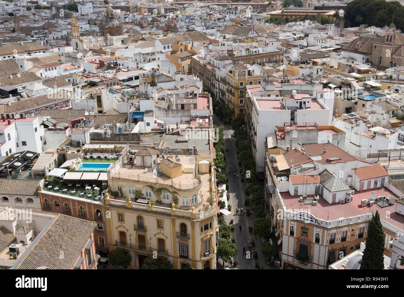 Cattedrale di Siviglia in Spagna Foto Stock