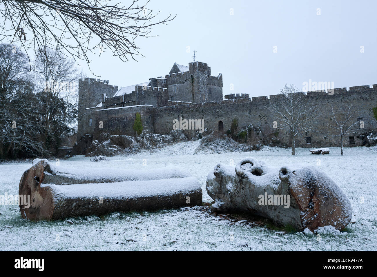 Vista del Castello di Cahir dal campo di pollice su un nevoso inverno mattina. Cahir, Tipperary, Irlanda Foto Stock