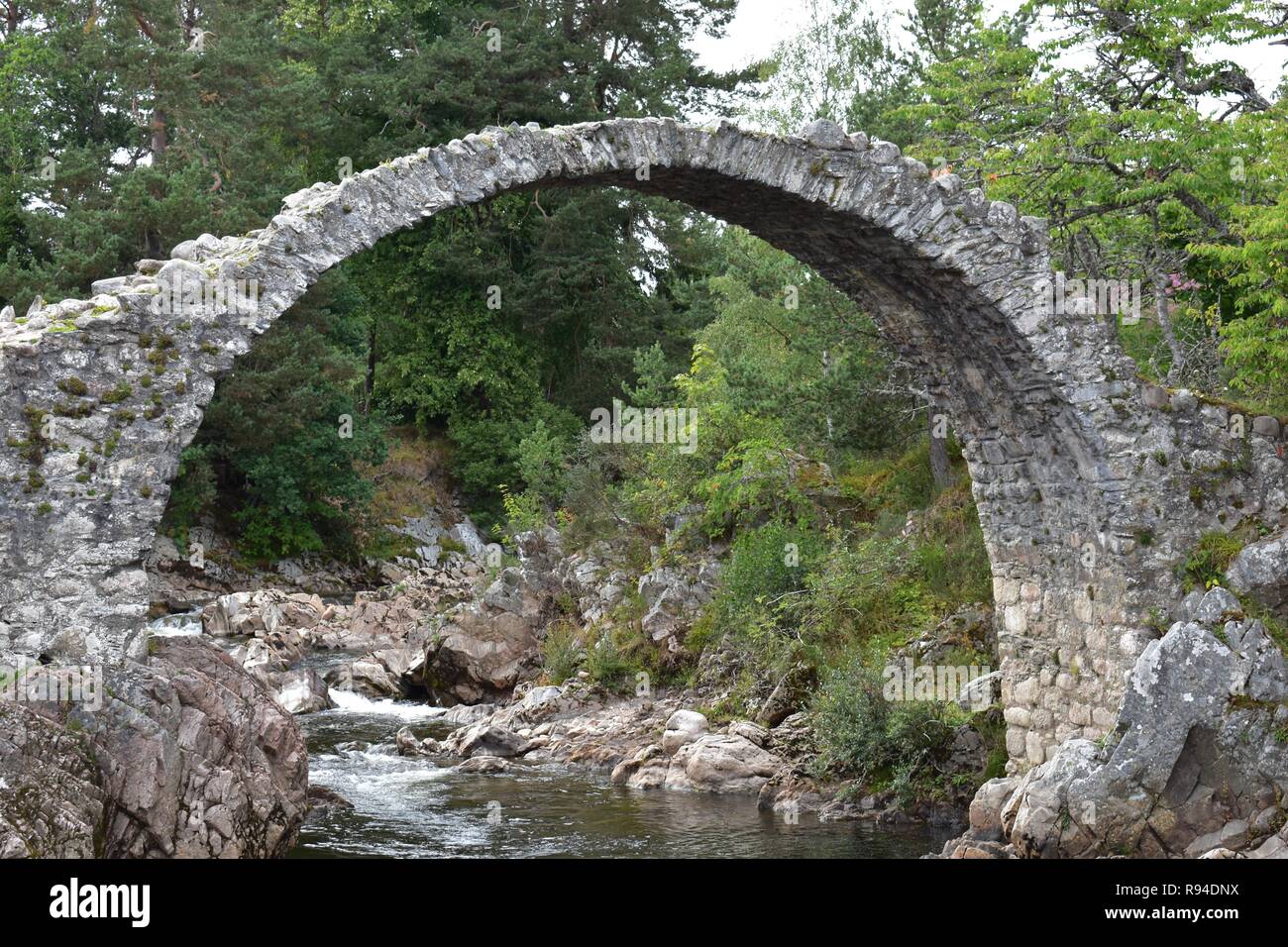 Il vecchio ponte Packhorse, Carrbridge Village, Badenoch e Strathspey, Highlands Scozzesi. Foto Stock