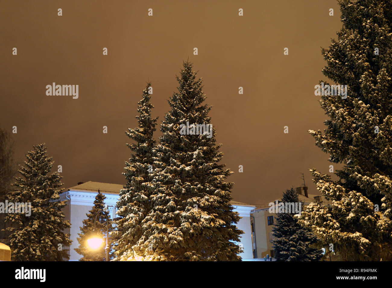 Il Natale di alberi di pino in inverno nella notte il parco della città sotto la neve in luce gialla sullo sfondo delle vetrine luminose Foto Stock