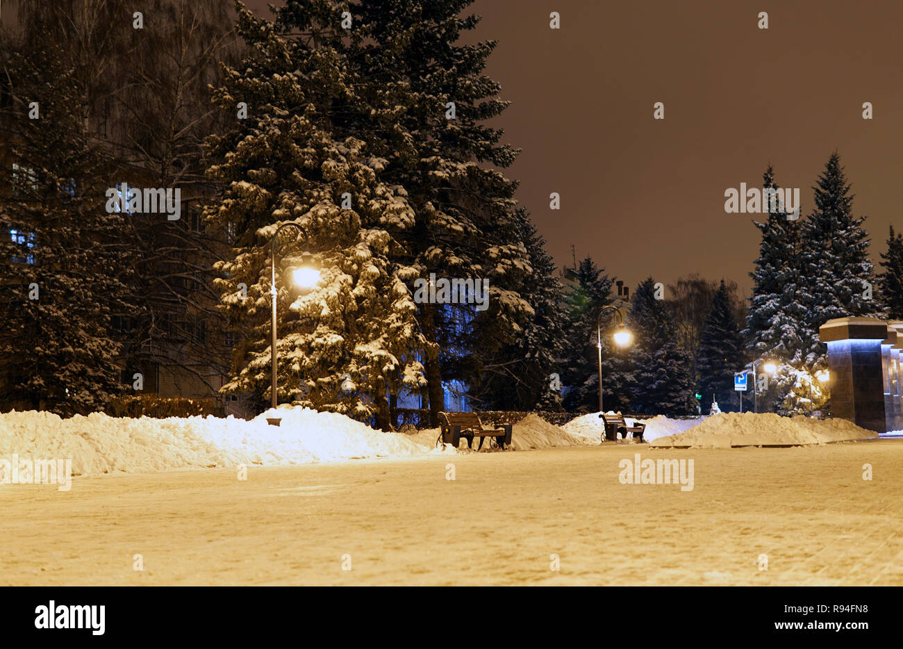 Il Natale di alberi di pino in inverno nella notte il parco della città sotto la neve in luce gialla sullo sfondo delle vetrine luminose Foto Stock