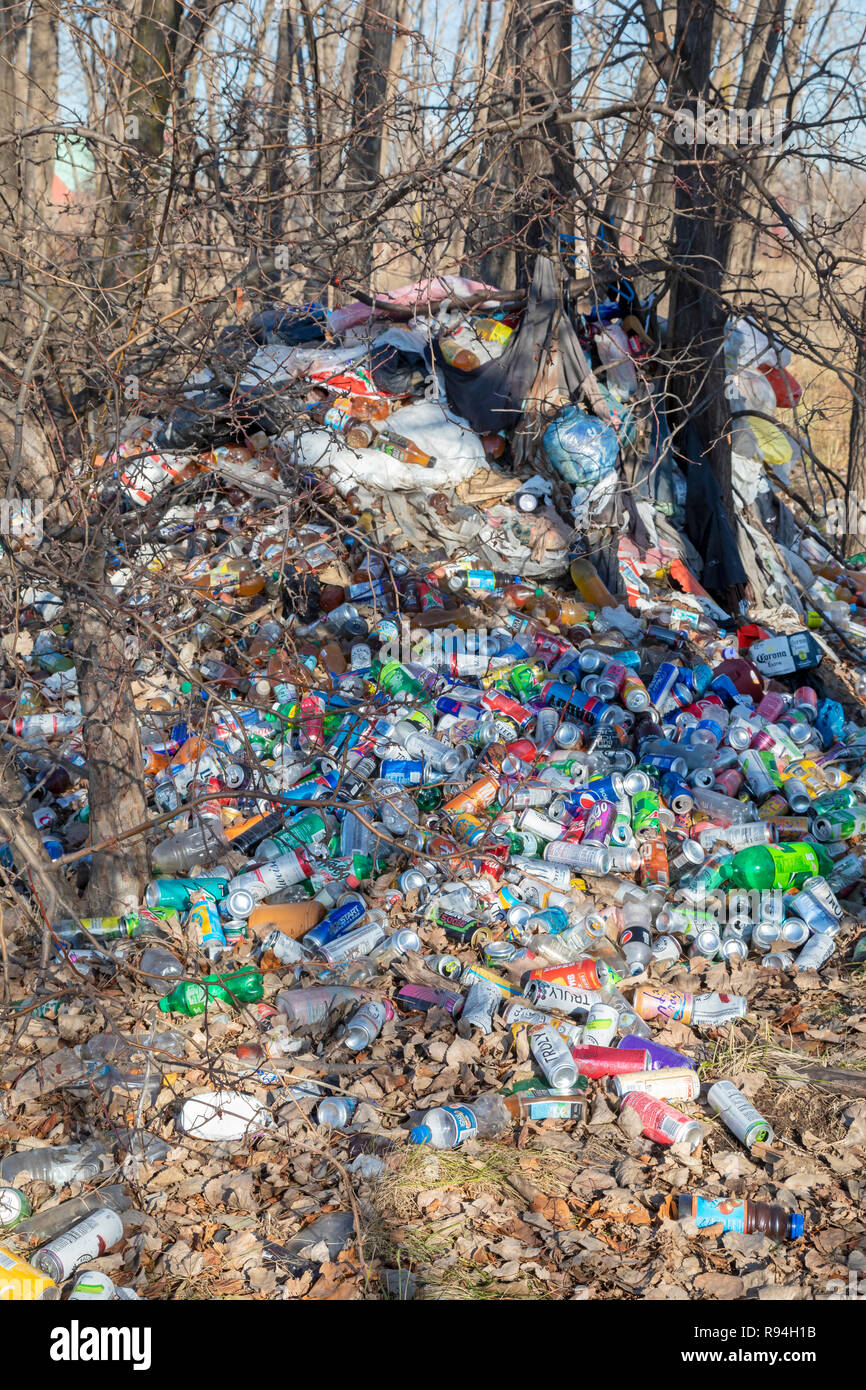 Detroit, Michigan - molte centinaia di bottiglie e lattine illegalmente oggetto di dumping in una zona boschiva vicino al centro cittadino. Foto Stock