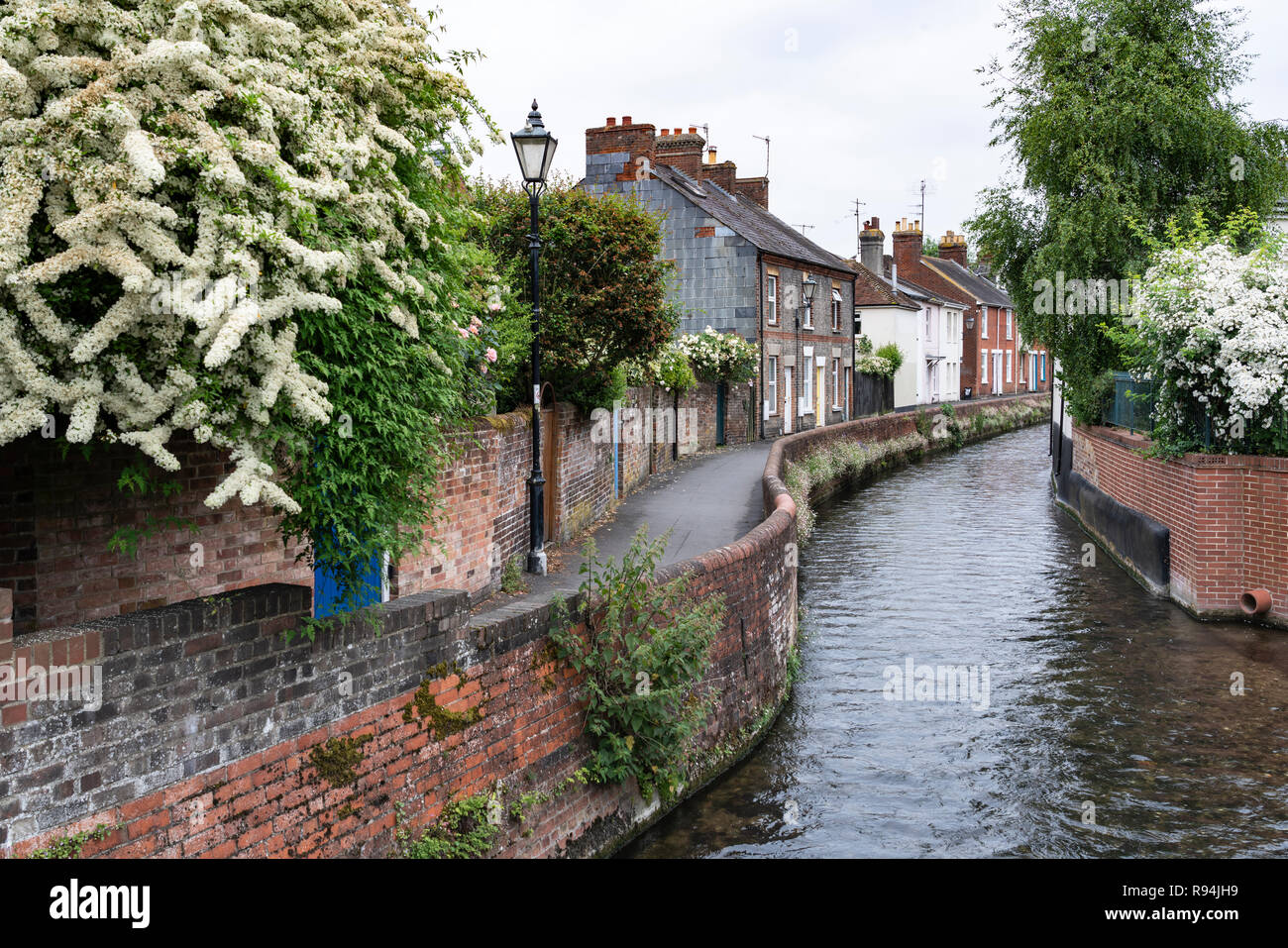 Un canale con case nella città di Salisbury, Wiltshire, Inghilterra, Gran Bretagna, Europa. Foto Stock