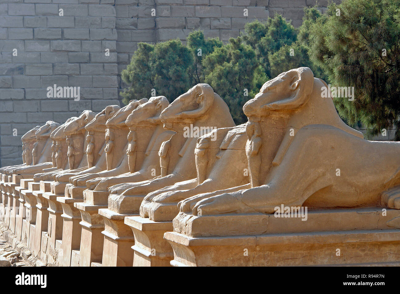 Avenue della ram-guidato sfingi in Tempio di Karnak - Luxor, Egyp Foto Stock